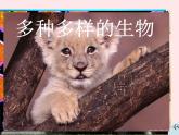 2022人教版八年级生物上册第六单元生物的多样性及其保护第一章根据生物的特征进行分类第一节尝试对生物进行分类课件1