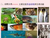 2022人教版八年级生物上册第六单元生物的多样性及其保护第一章根据生物的特征进行分类第一节尝试对生物进行分类课件2