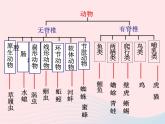 2022人教版八年级生物上册第六单元生物的多样性及其保护第一章根据生物的特征进行分类第一节尝试对生物进行分类课件2