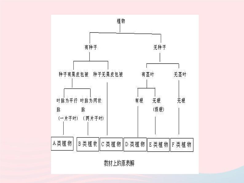 2022人教版八年级生物上册第六单元生物的多样性及其保护第一章根据生物的特征进行分类第二节从种到界课件103