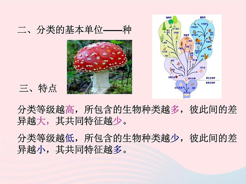 2022人教版八年级生物上册第六单元生物的多样性及其保护第一章根据生物的特征进行分类第二节从种到界课件104