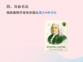 2022人教版八年级生物上册第六单元生物的多样性及其保护第一章根据生物的特征进行分类第二节从种到界课件1