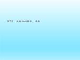 2022北师大版七年级生物上册第2单元生物体的结构第4章生物体的结构层次第2节生物体的器官系统课件