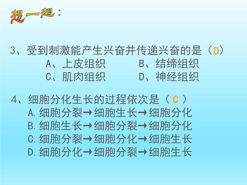 2022北师大版七年级生物上册第2单元生物体的结构第4章生物体的结构层次第2节生物体的器官系统课件06