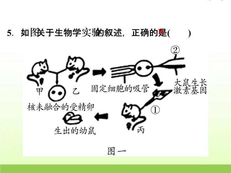 中考生物复习第11讲遗传与进化精练课件第6页