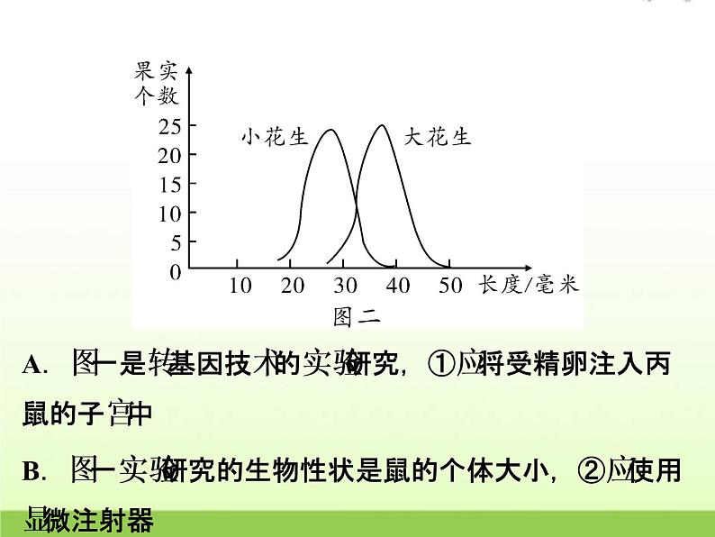 中考生物复习第11讲遗传与进化精练课件第7页