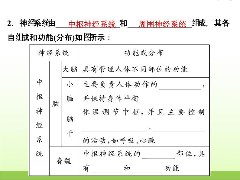 中考生物复习第8讲生命活动的调节精讲课件第8页