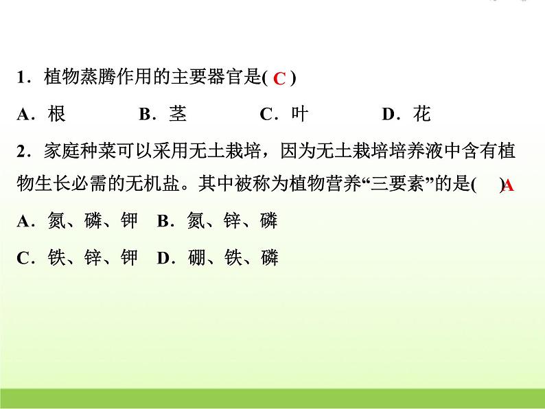中考生物复习第4讲植物的新陈代谢(1)精练课件第2页