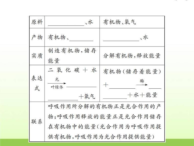 中考生物复习第5讲植物的新陈代谢(2)精讲课件第7页