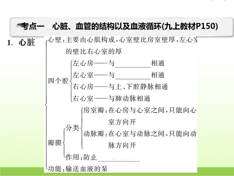 中考生物复习第7讲动物的新陈代谢(2)精讲课件第3页