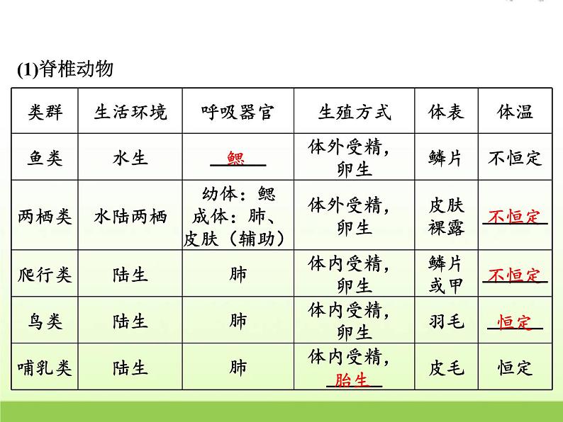 中考生物复习第1讲生物的分类精讲课件第7页