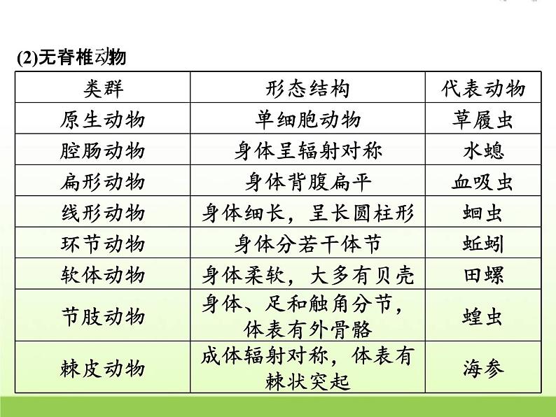 中考生物复习第1讲生物的分类精讲课件第8页