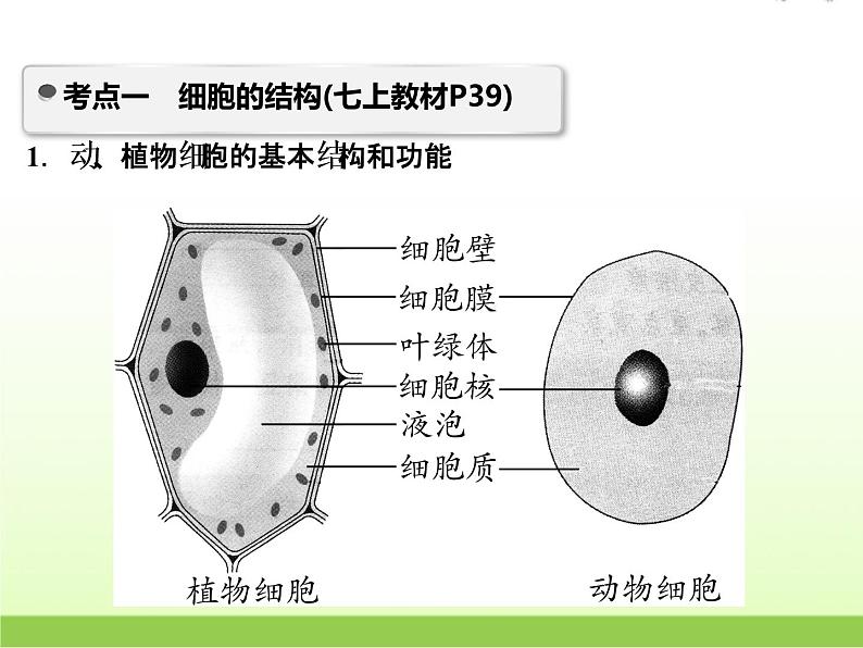 中考生物复习第2讲生物体的结构与层次精讲课件第3页