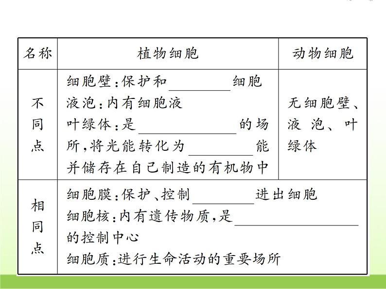 中考生物复习第2讲生物体的结构与层次精讲课件第4页