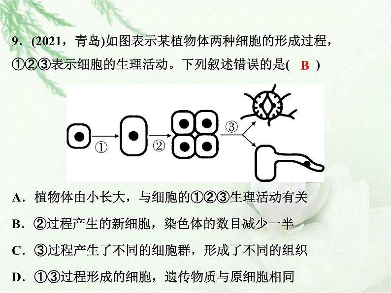 中考生物复习第2讲生物体的结构与层次精练课件第8页