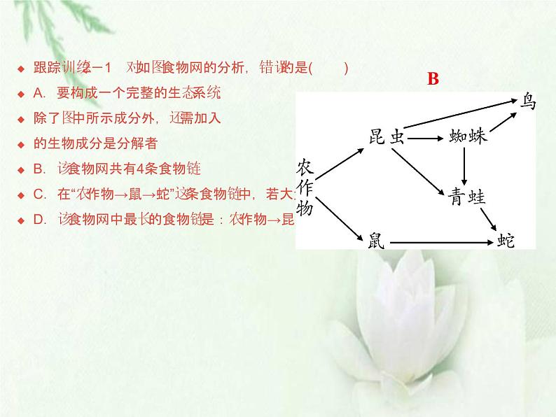 中考生物复习微专题9生物对环境的适应与生态系统精讲本课件第8页