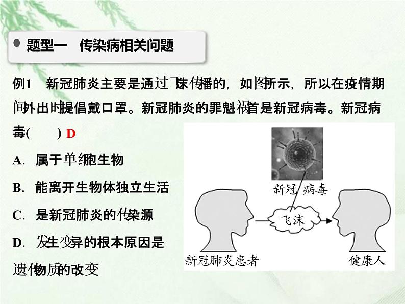 中考生物复习微专题10传染病与免疫精讲本课件02