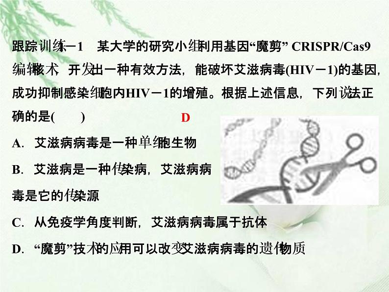 中考生物复习微专题10传染病与免疫精讲本课件04