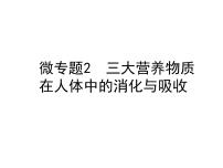 中考生物复习微专题2三大营养物质在人体中的消化与吸收精讲本课件