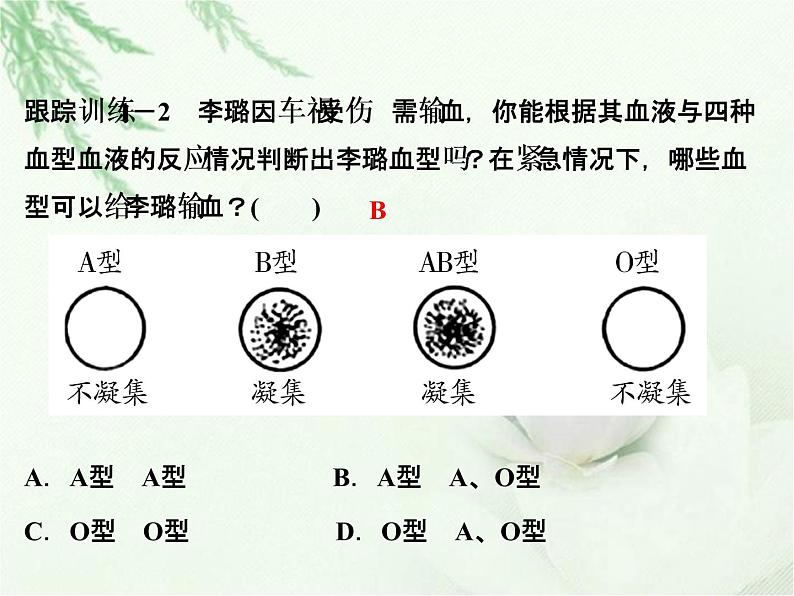 中考生物复习微专题4血型与输血精讲本课件第5页