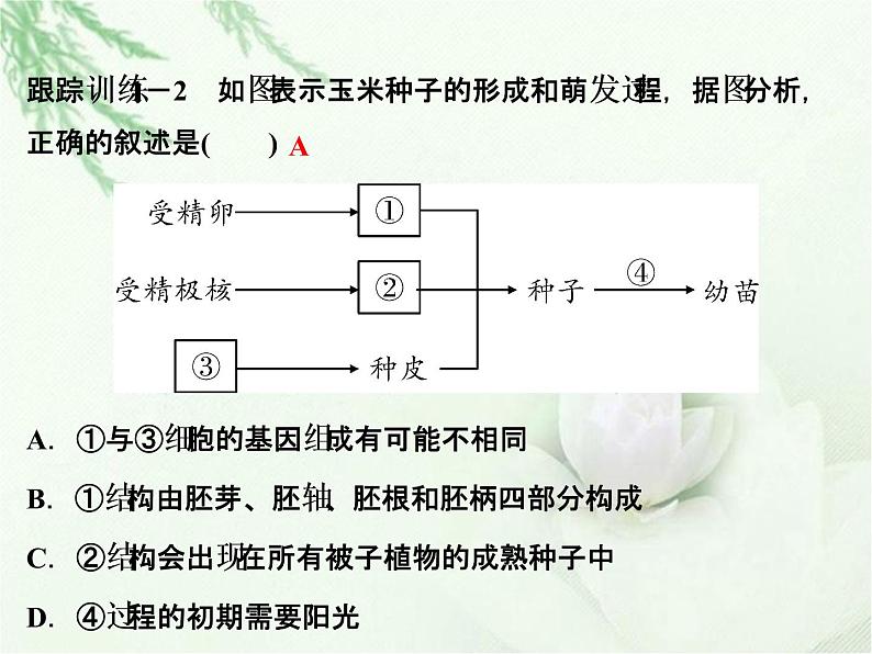 中考生物复习微专题5动植物的生殖方式精讲本课件05