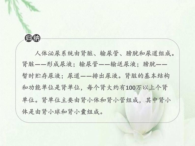 中考生物复习微专题6尿的形成过程精讲本课件03