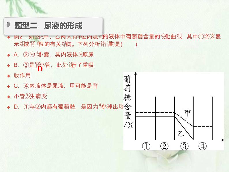 中考生物复习微专题6尿的形成过程精讲本课件08