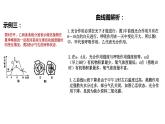 植物的光合作用和呼吸作用坐标曲线等图解复习 课件