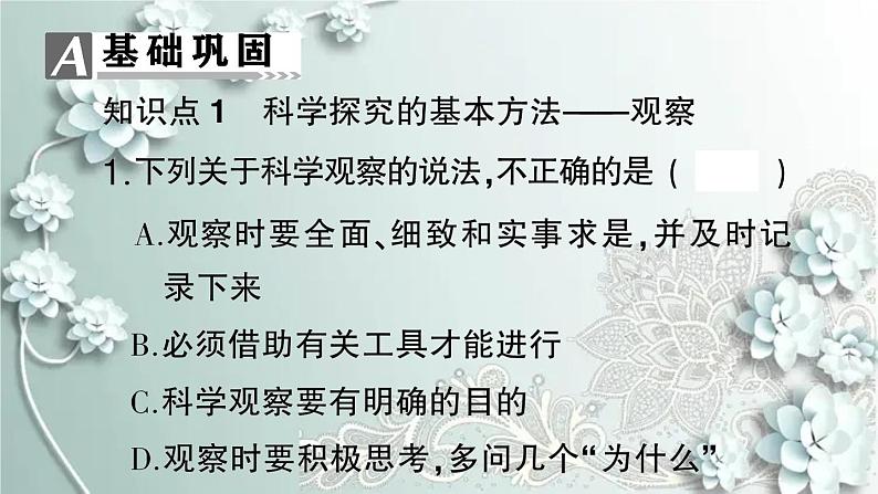 人教版生物七年级上册 第一节 生物的特征 课件第6页