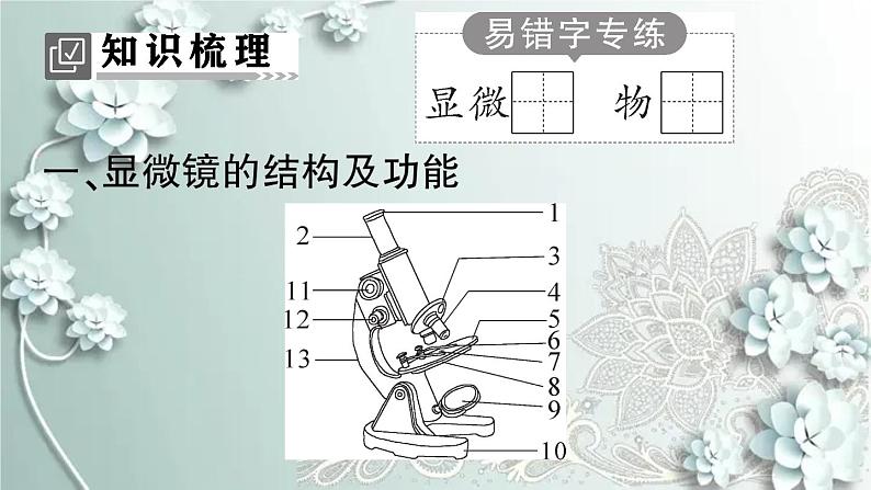 人教版生物七年级上册 第一节 练习使用显微镜 课件02