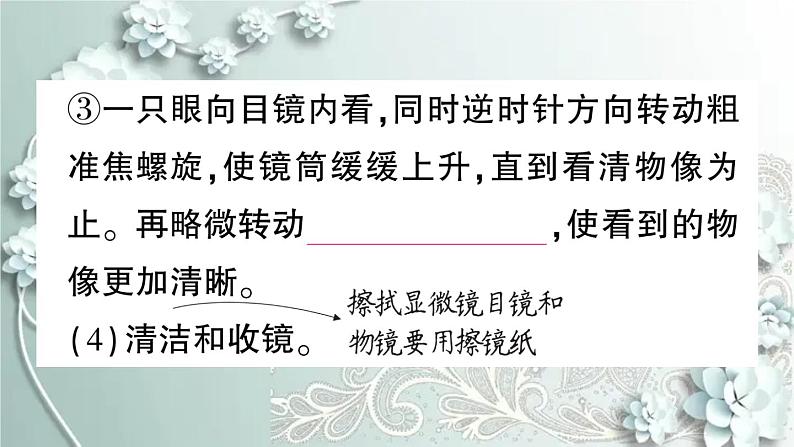 人教版生物七年级上册 第一节 练习使用显微镜 课件07