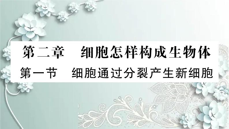 人教版生物七年级上册 第一节 细胞通过分裂产生新细胞 课件01