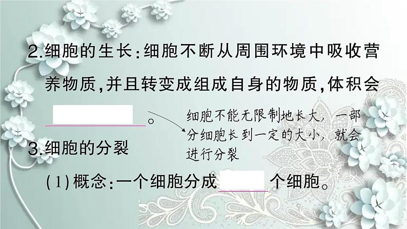 人教版生物七年级上册 第一节 细胞通过分裂产生新细胞 课件03