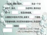 人教版生物七年级上册 第一节 细胞通过分裂产生新细胞 课件