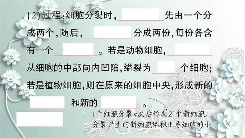 人教版生物七年级上册 第一节 细胞通过分裂产生新细胞 课件04