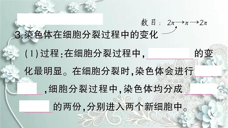 人教版生物七年级上册 第一节 细胞通过分裂产生新细胞 课件06