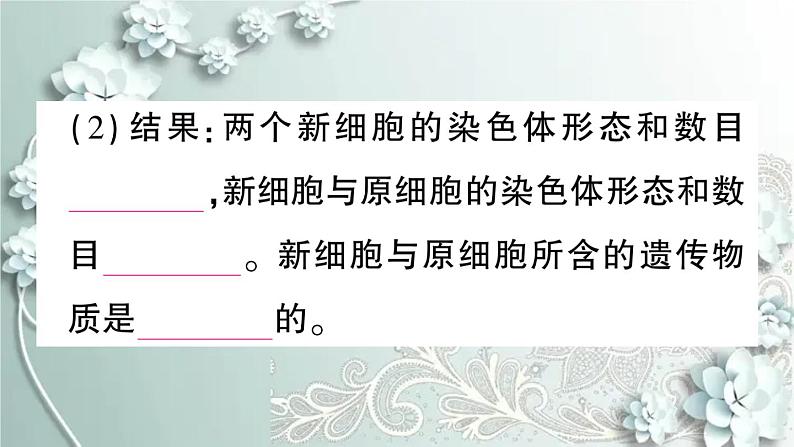 人教版生物七年级上册 第一节 细胞通过分裂产生新细胞 课件07