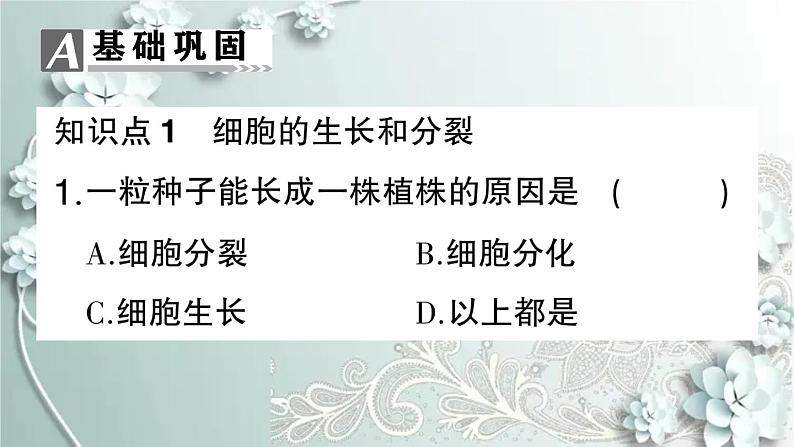 人教版生物七年级上册 第一节 细胞通过分裂产生新细胞 课件08