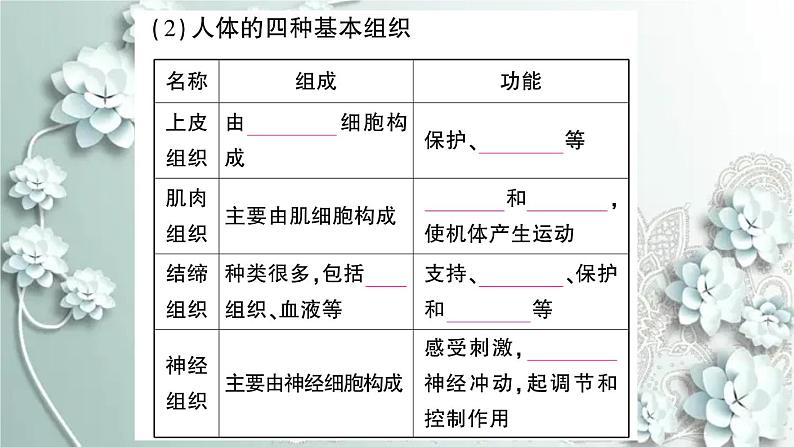 人教版生物七年级上册 第二节 动物体的结构层次 课件05