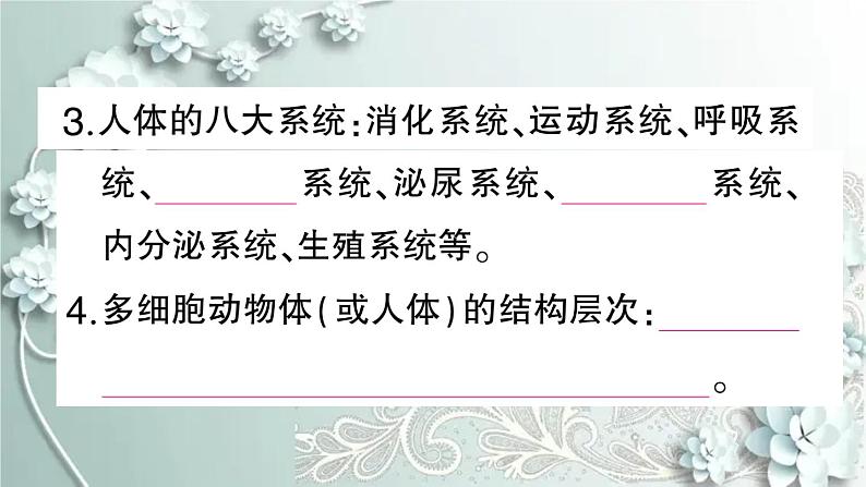 人教版生物七年级上册 第二节 动物体的结构层次 课件08