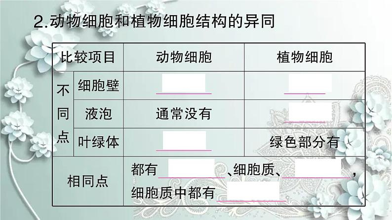 人教版生物七年级上册 第三节 动物细胞 课件05