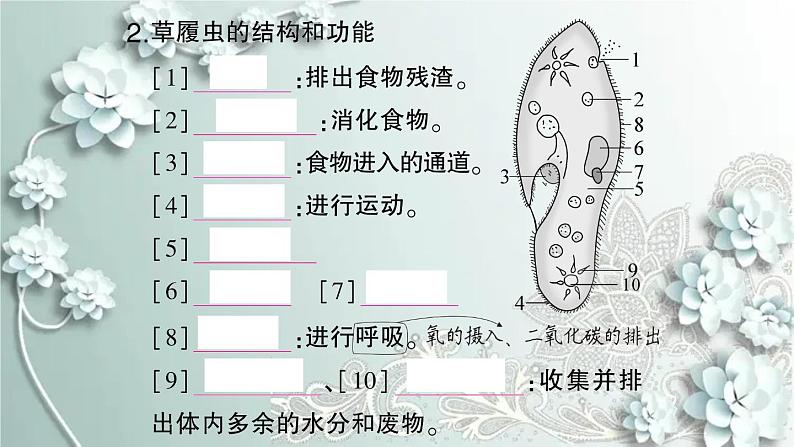 人教版生物七年级上册 第四节 单细胞生物 课件06