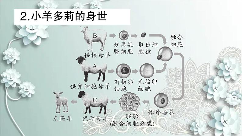 人教版生物七年级上册 第四节 细胞的生活 课件第6页