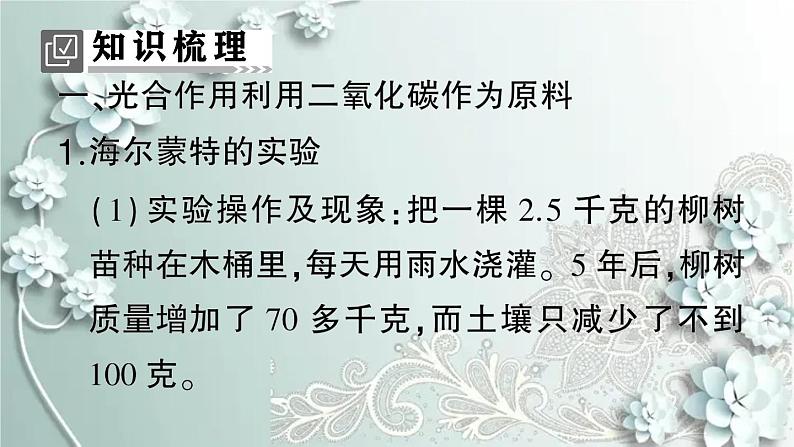 人教版生物七年级上册 第一节 光合作用吸收二氧化碳释放氧气 课件02