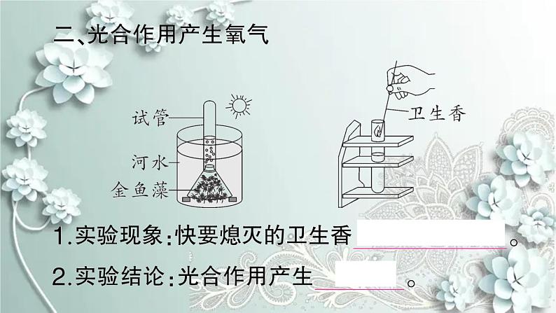 人教版生物七年级上册 第一节 光合作用吸收二氧化碳释放氧气 课件06