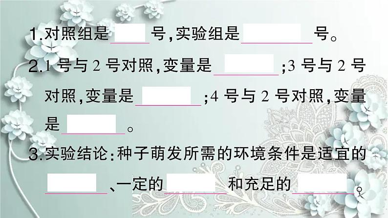 人教版生物七年级上册 第一节 种子的萌发 课件03