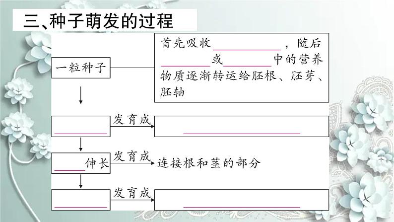 人教版生物七年级上册 第一节 种子的萌发 课件06