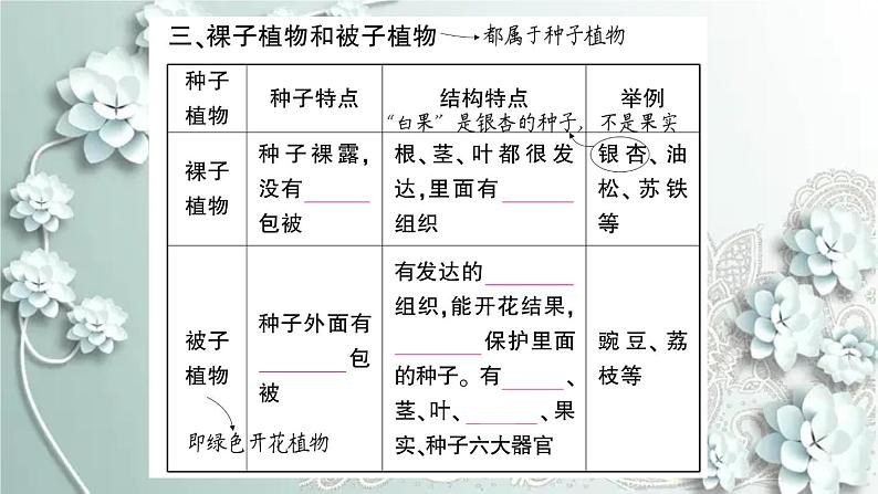 人教版生物七年级上册 第二节 种子植物 课件05