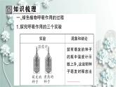 人教版生物七年级上册 第二节 绿色植物的呼吸作用 课件