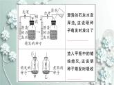 人教版生物七年级上册 第二节 绿色植物的呼吸作用 课件